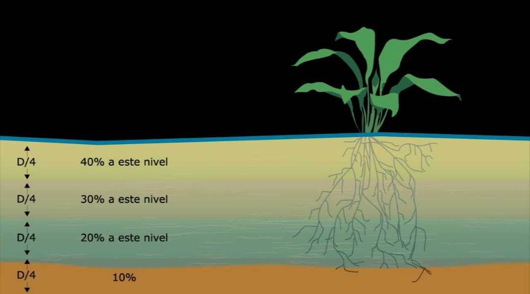 CAPACIDAD DE CAMPO Y PUNTO DE MARCHITEZ PERMANENTE (WILTING POINT)