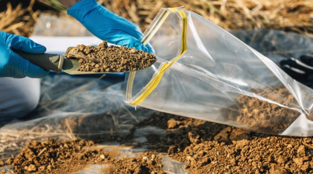 PRINCIPIOS DE MUESTREO EN SUELOS