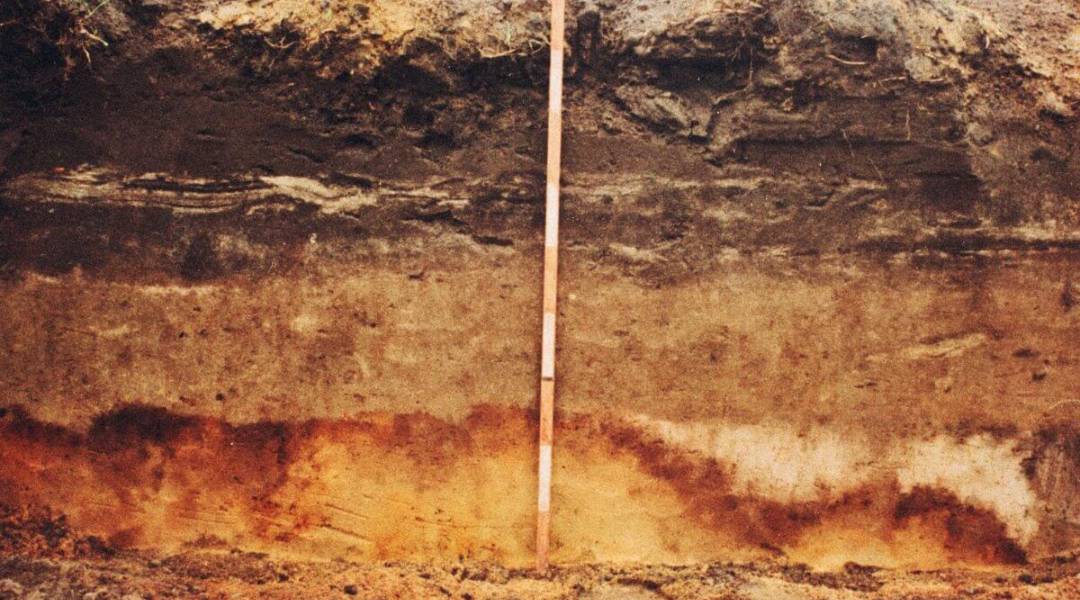 PROPIEDADES BASICAS DE LOS SUELOS