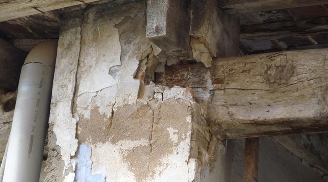 PATOLOGÍA ESTRUCTURAL