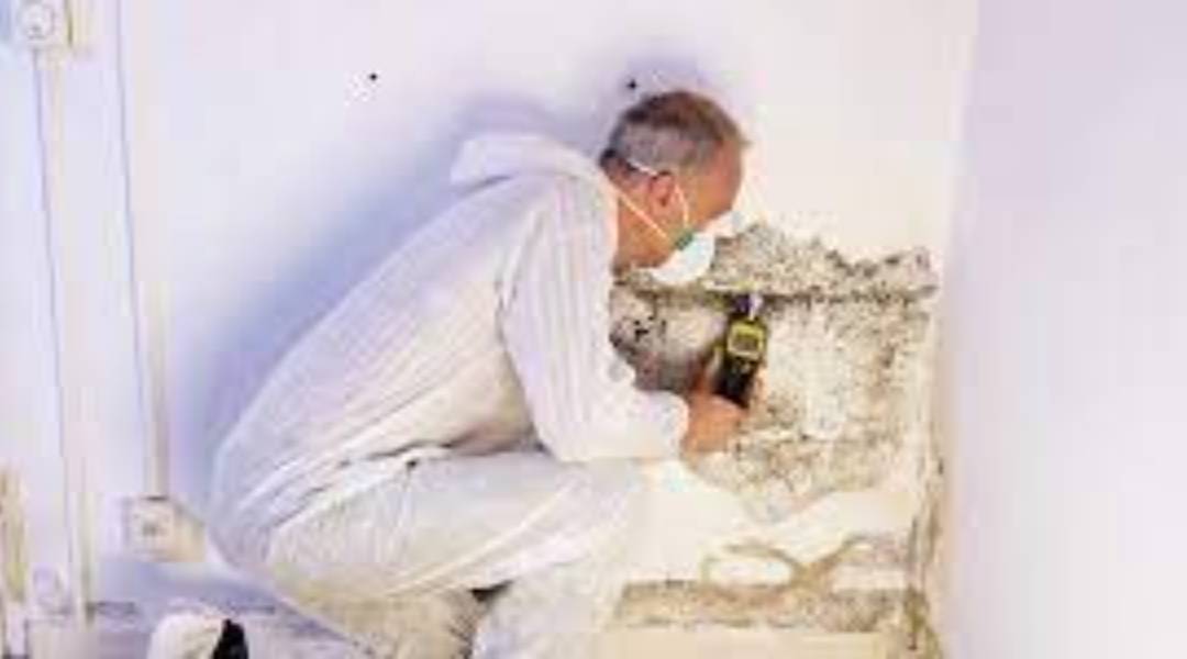 INFORME DE EVALUACIÓN DE EDIFICIOS Y HUMEDADES