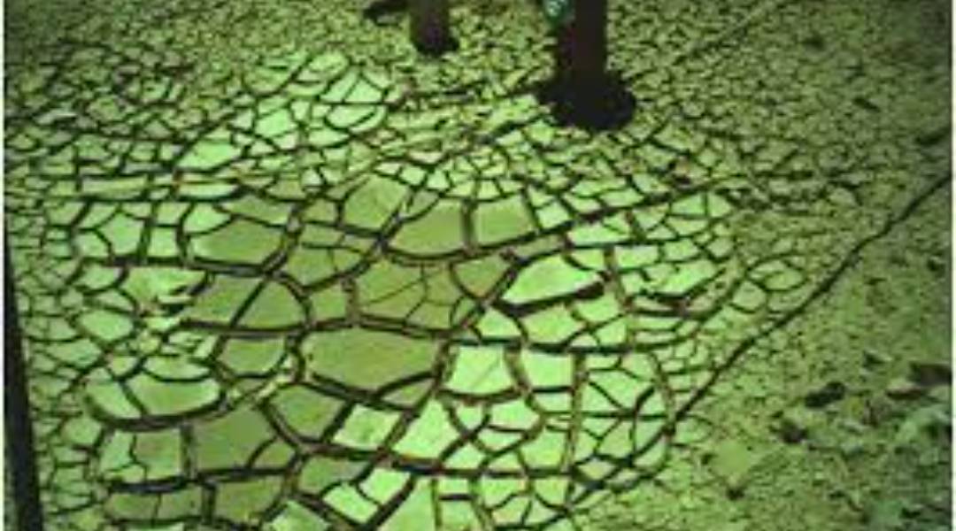 PROBLEMAS DEL SECADO PREMATURO DEL CONCRETO